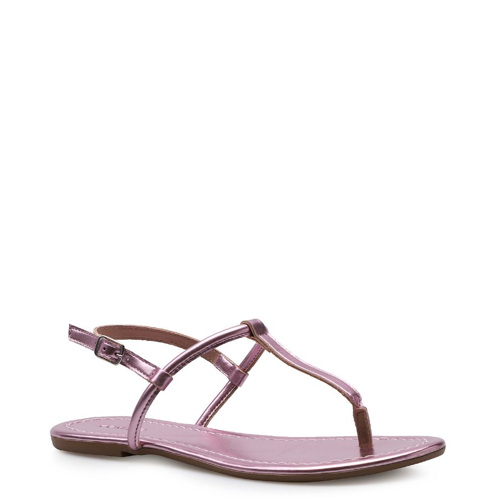 rasteirinhas numero 41